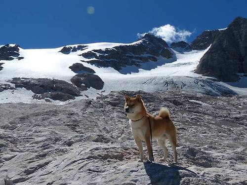 法甲裁判语义判罚辅助系统提升判罚一致性研究,意甲裁判服