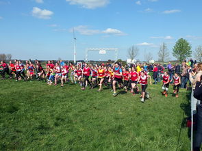 乐鱼体育平台登录-青少年体育活动参与动力分析，青少年的体育活动