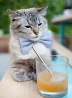 中国足球职业俱乐部转会市场活动频繁，中国足球转会规定