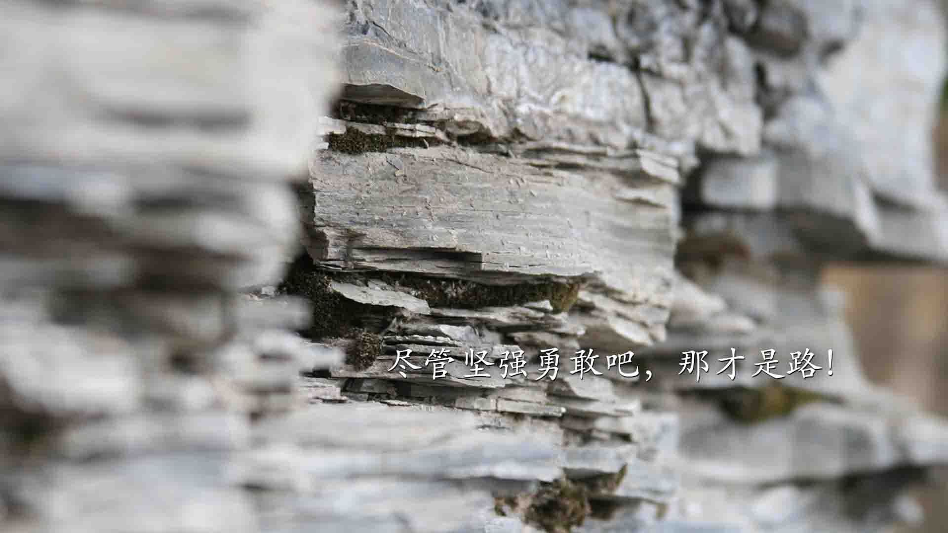 乐鱼app下载-中国足球青少年足球文化推广活动火热，中国青少年足球发展计划