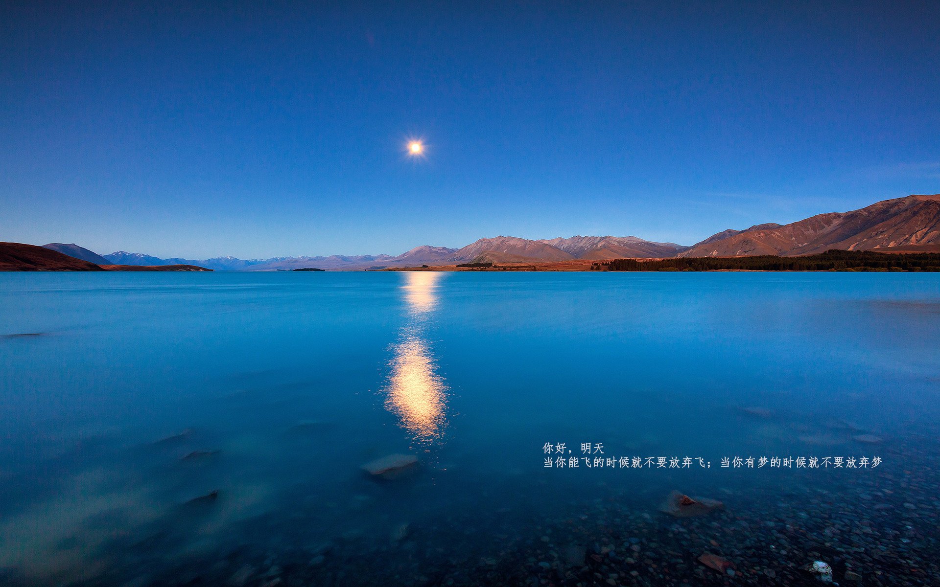 乐鱼体育在线网站-卡斯帕·科尔博泳池内外均实现突破，卡斯帕尔职业