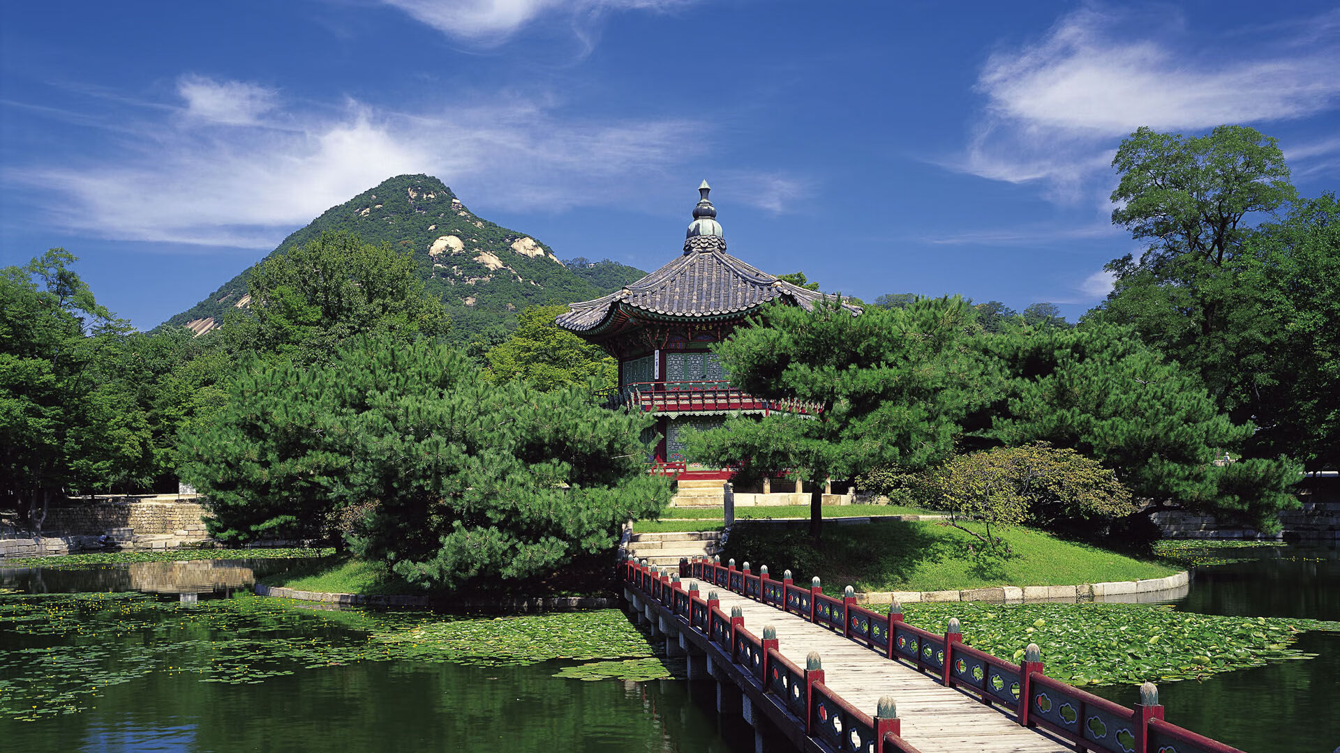 女子4×200米自由泳接力中国队精彩表现,女子4×200米自由泳接力世界纪录是多少