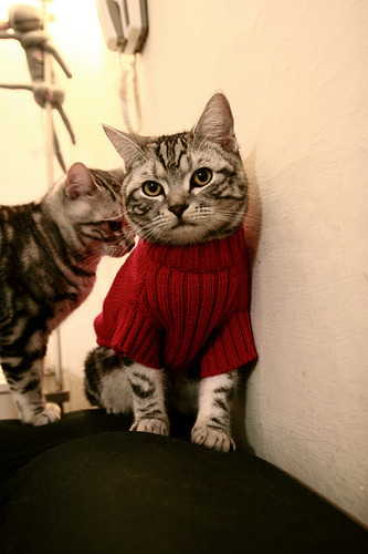 乐鱼体育入口-恩多比·恩乔：南非队的技术与战术核心，关键时刻屡屡出色表现