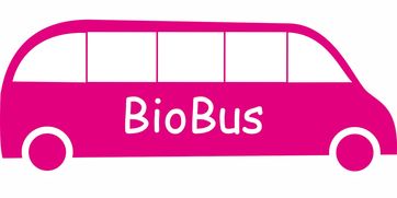 乐鱼体育app网址-意甲联赛的绿色可持续发展，意甲联赛啥意思