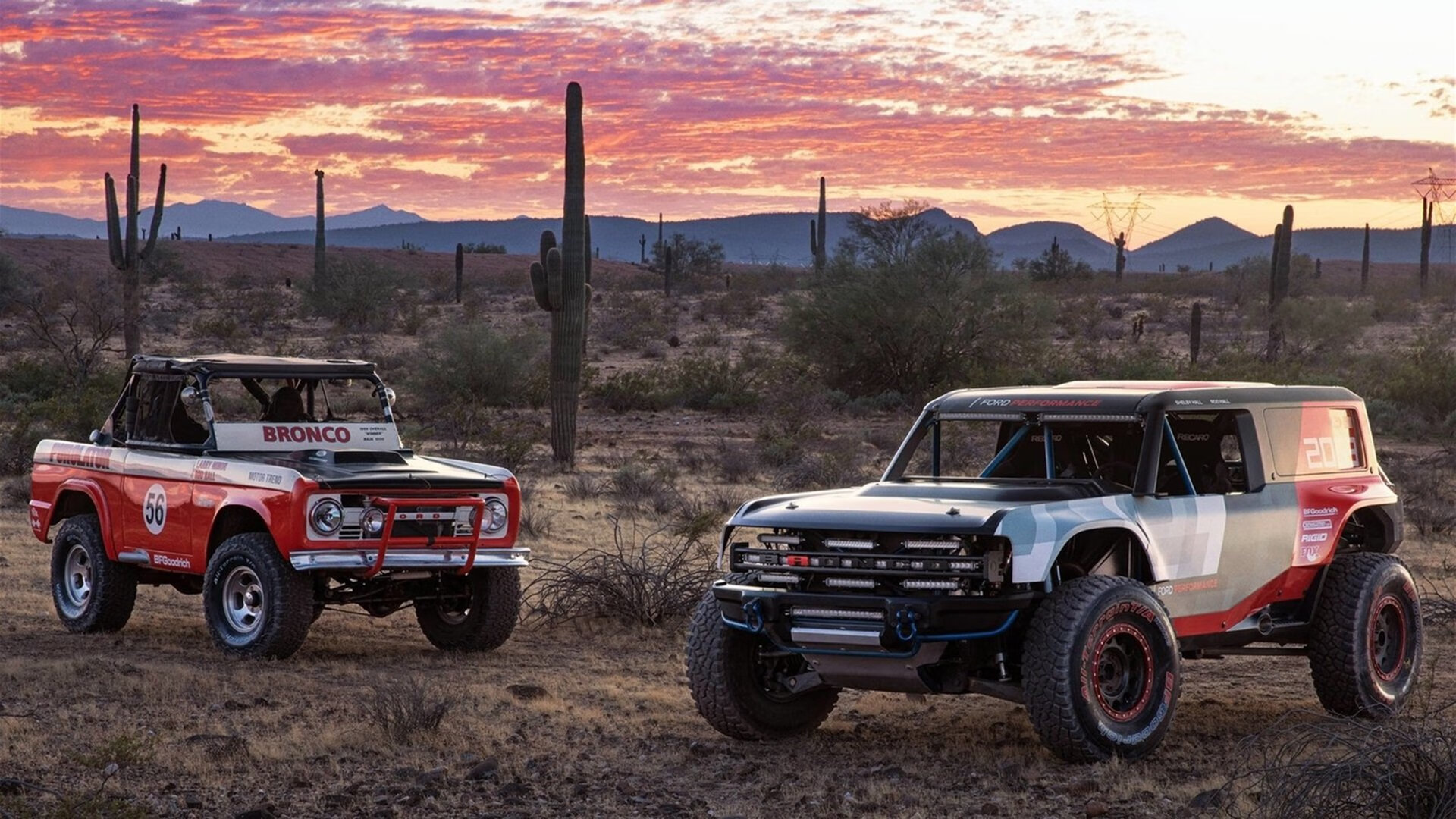 斯洛伐克女篮在欧洲预赛中表现优异，冲击奥运资格，斯洛伐克女子篮球锦标赛