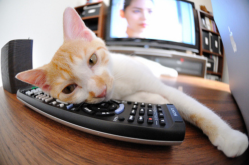 乐鱼体育在线入口-球员投篮命中率稳步提升新技术分析系统发挥重要作用，投篮命中率表示什么