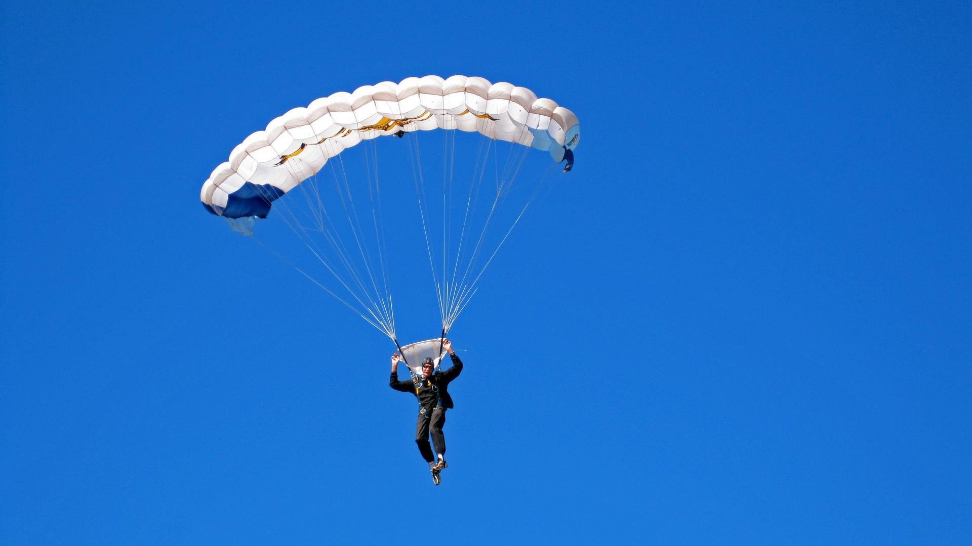 “萨尔·巴赫的战术眼光:南非羚羊队的智囊人物”